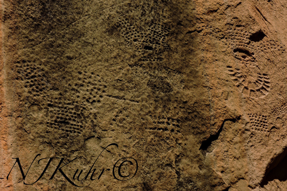 Petroglyphs Dinosaur Monument