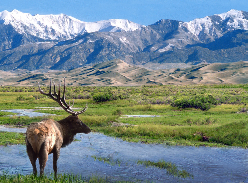 By U.S. Fish and Wildlife Service Headquarters - Southern Rockies LCC, Public Domain,