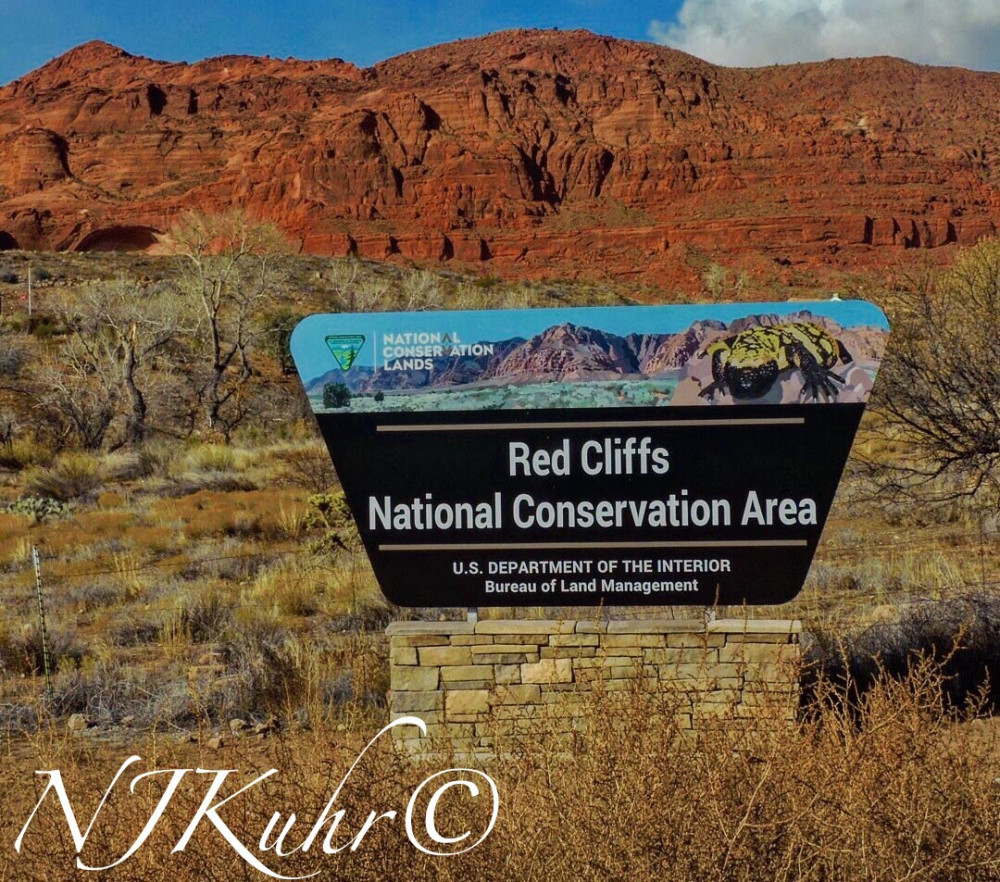 Red Cliff's National Conservation